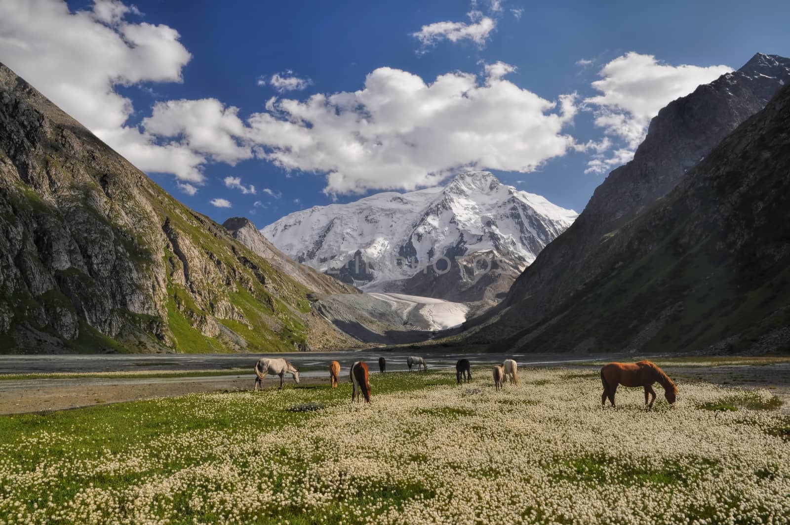 Tian-Shan in Kyrgyzstan by MichalKnitl