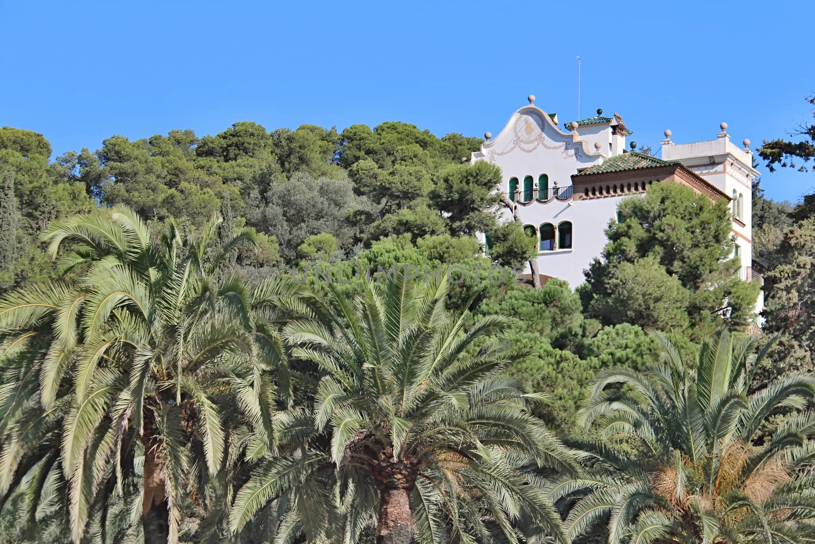 Parc Guell, Barcelona, Spain by Dermot68