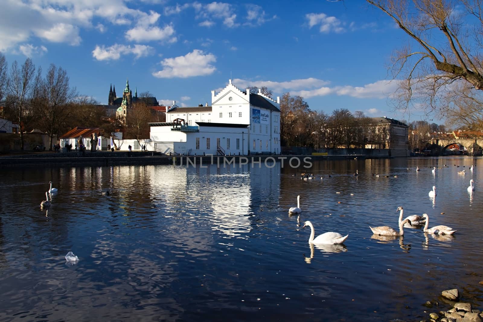 Photo shows various historical houses, Vltava river, bridges and other architectural details.