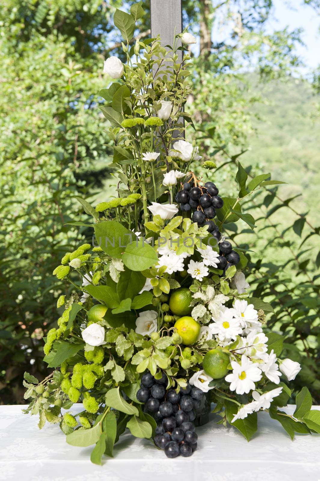 outdoor wedding in the castle of Tercesi