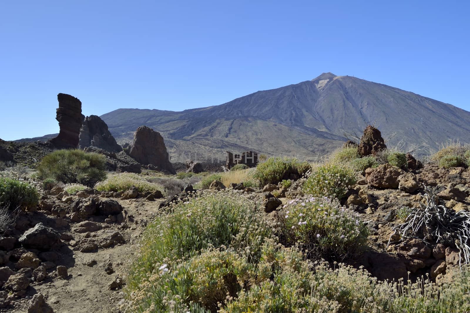 Roques de Garcia, el Teide, Tenerife. Volcanic island