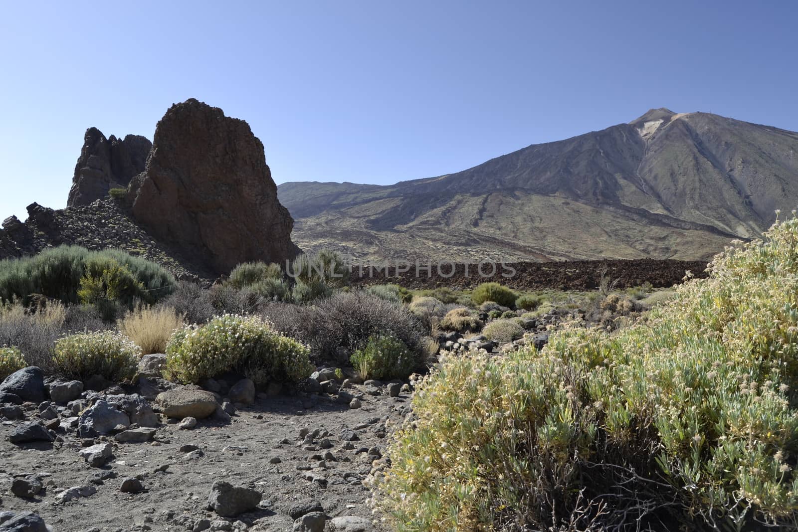 Roques de Garcia, el Teide, Tenerife. Volcanic island