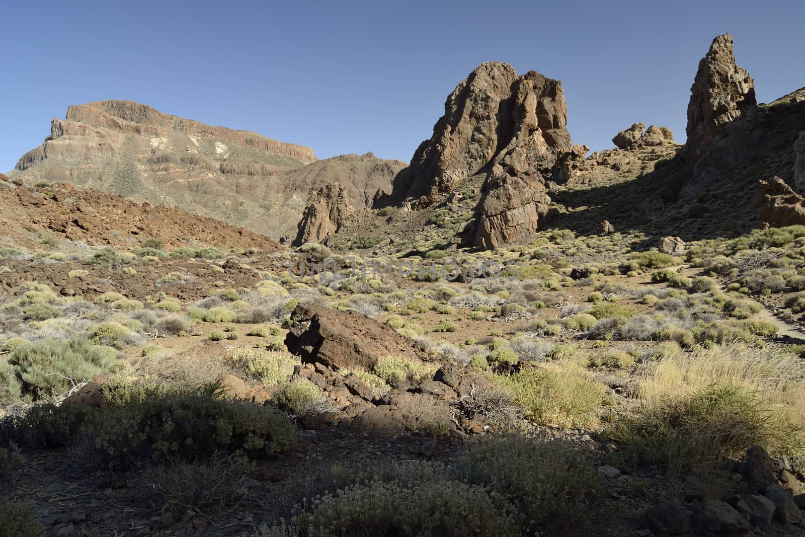 Roques de Garcia, el Teide, Tenerife. Volcanic island