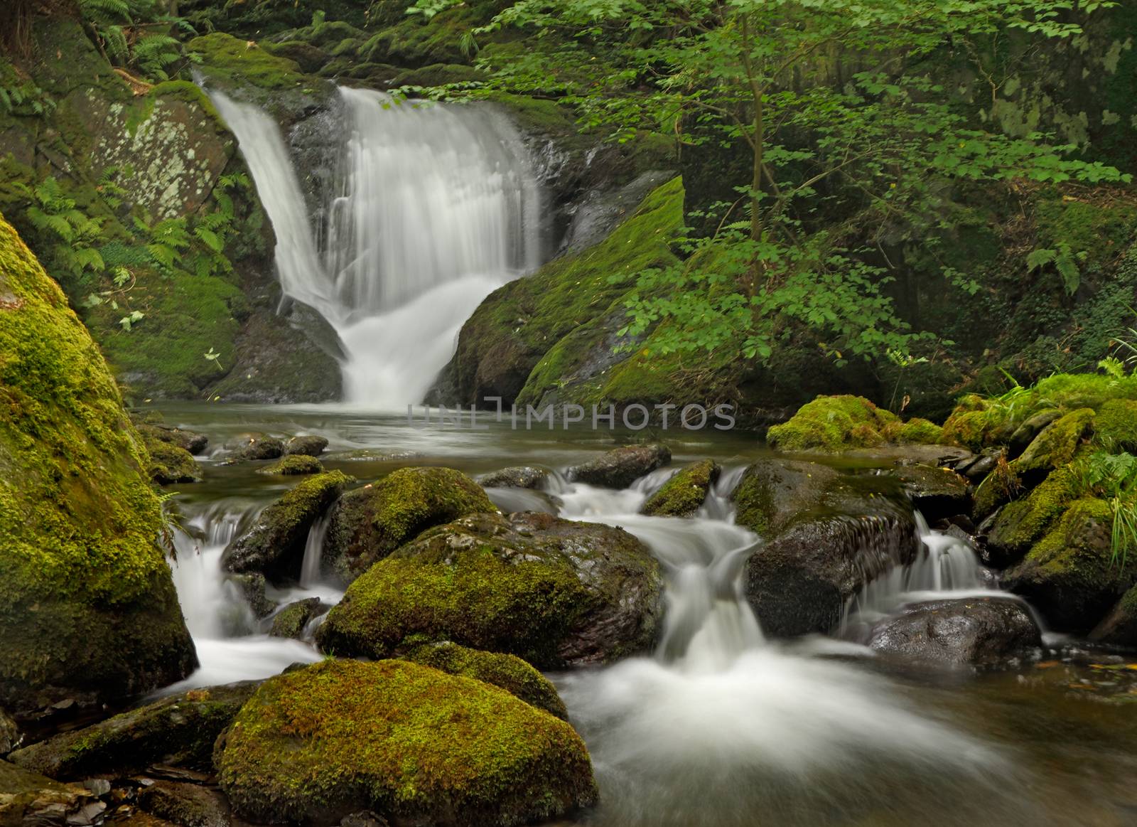 Dolgoch Falls are situated within the Snowdonia National Park in North Wales, UK.