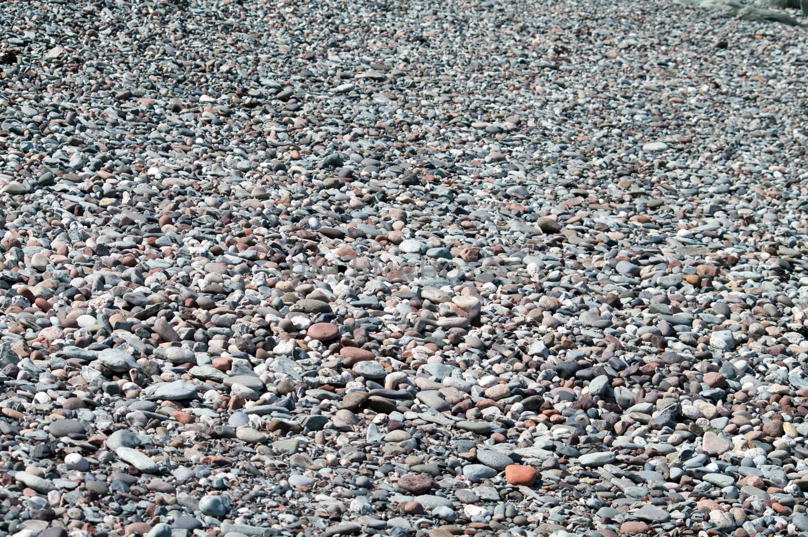 Beach Stones  by edcorey