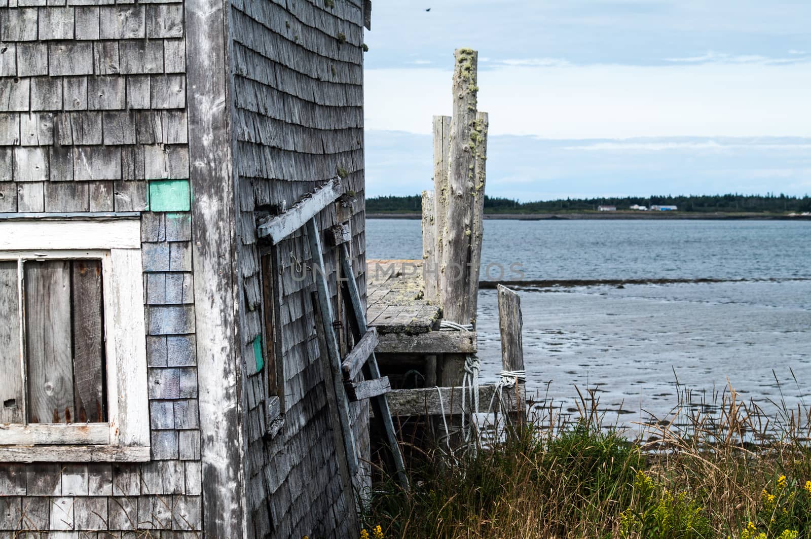 Fish Shed and Dock on Grand Manan New Brunswick