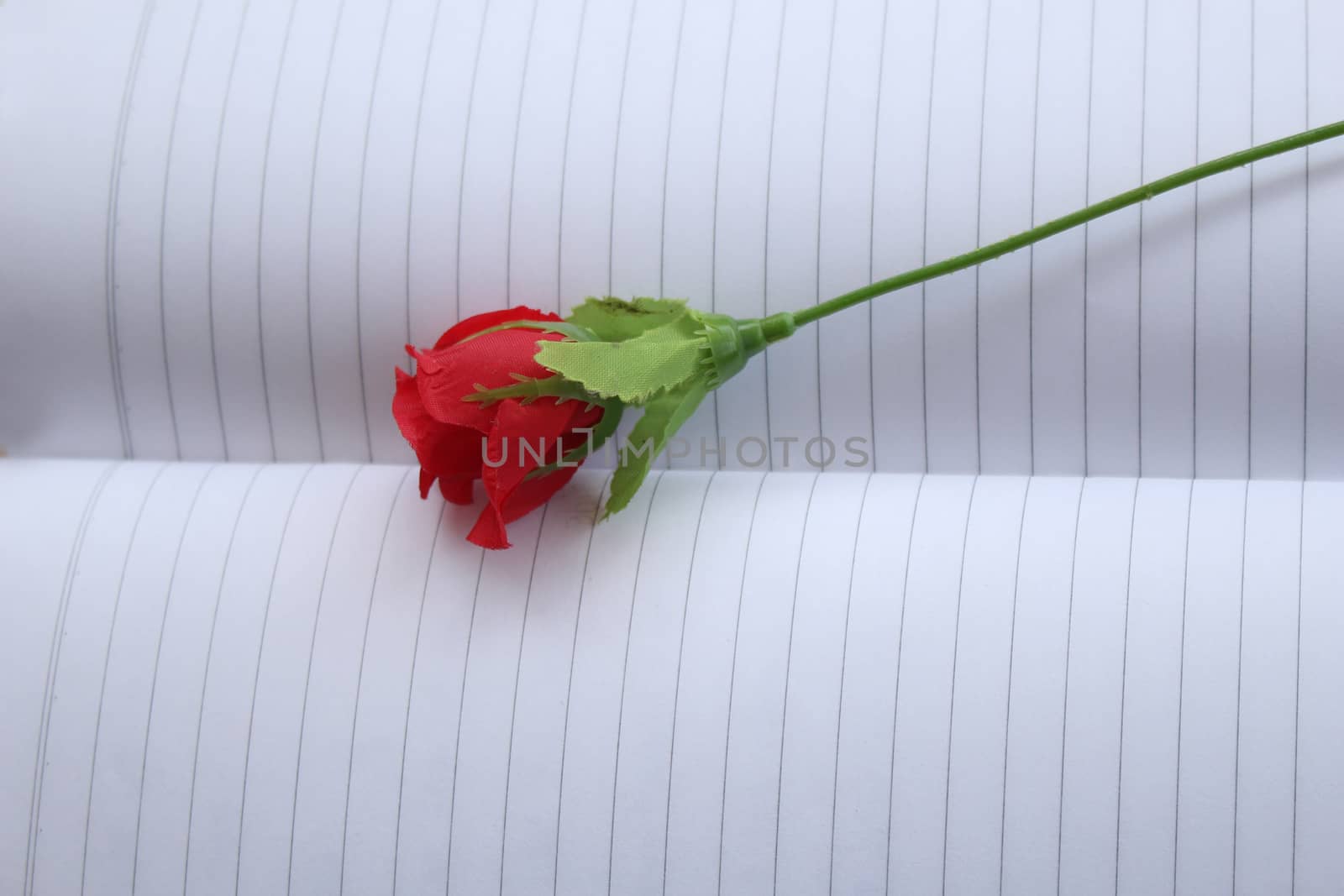 The plastic rose is on the notebook.It is the red rose and the notebook is empty.
