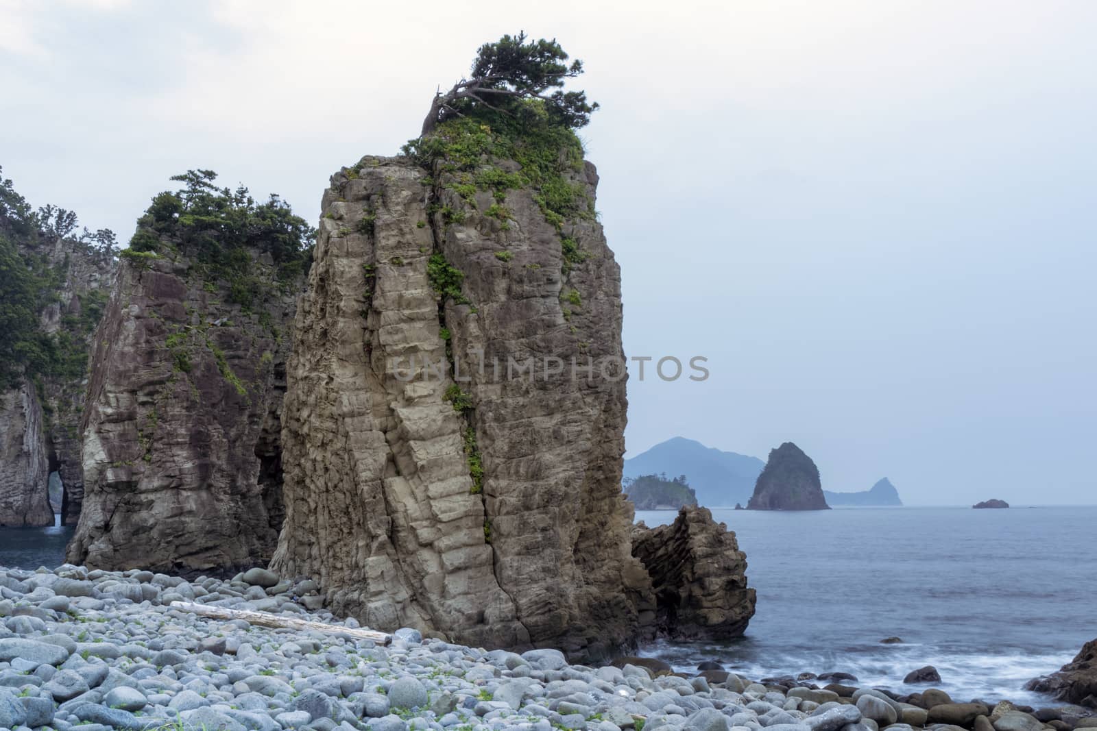 Huge rocks formation shoreline with scenic pine trees on the cliff top on Izu Peninsula in Japan