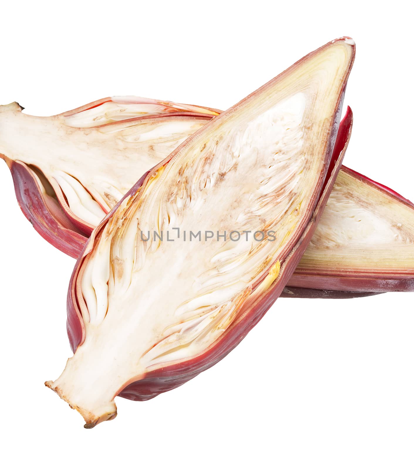 Banana blossom half cut isolated on white background