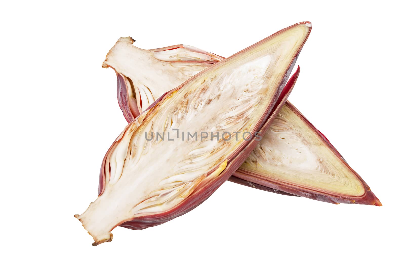 Banana blossom half cut isolated on white background