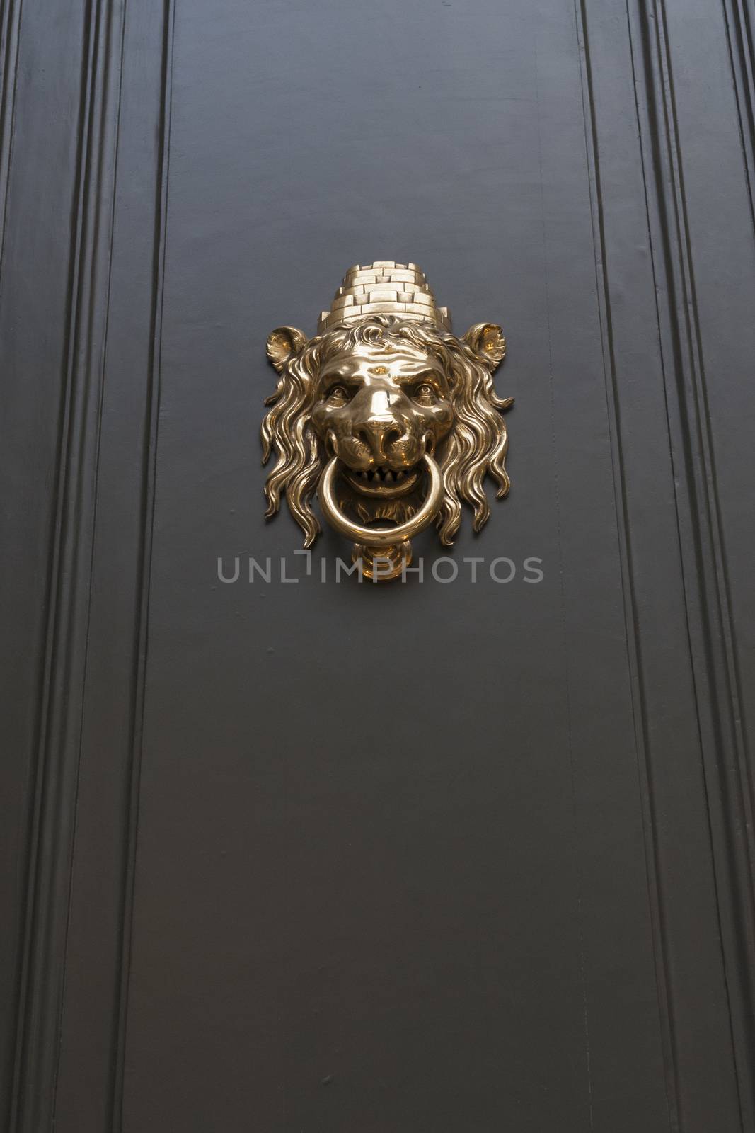 metallic door handle in shape of lion head with big knocking ring