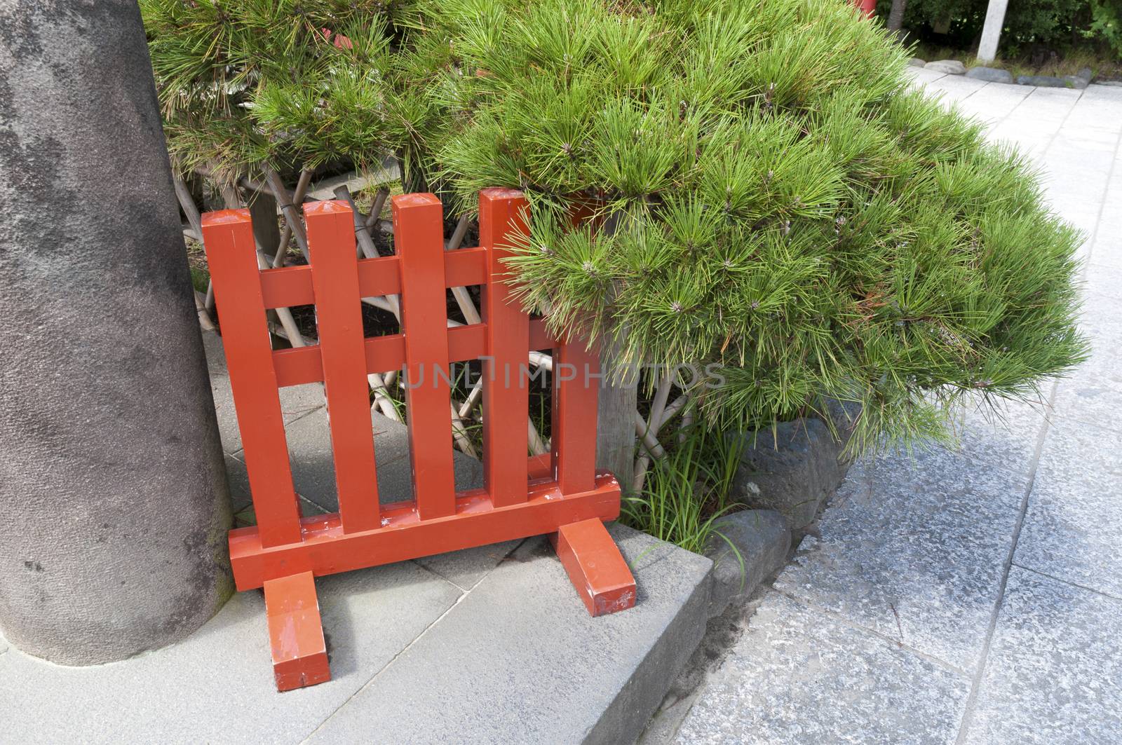 red wooden fence close to the pine tree branch 