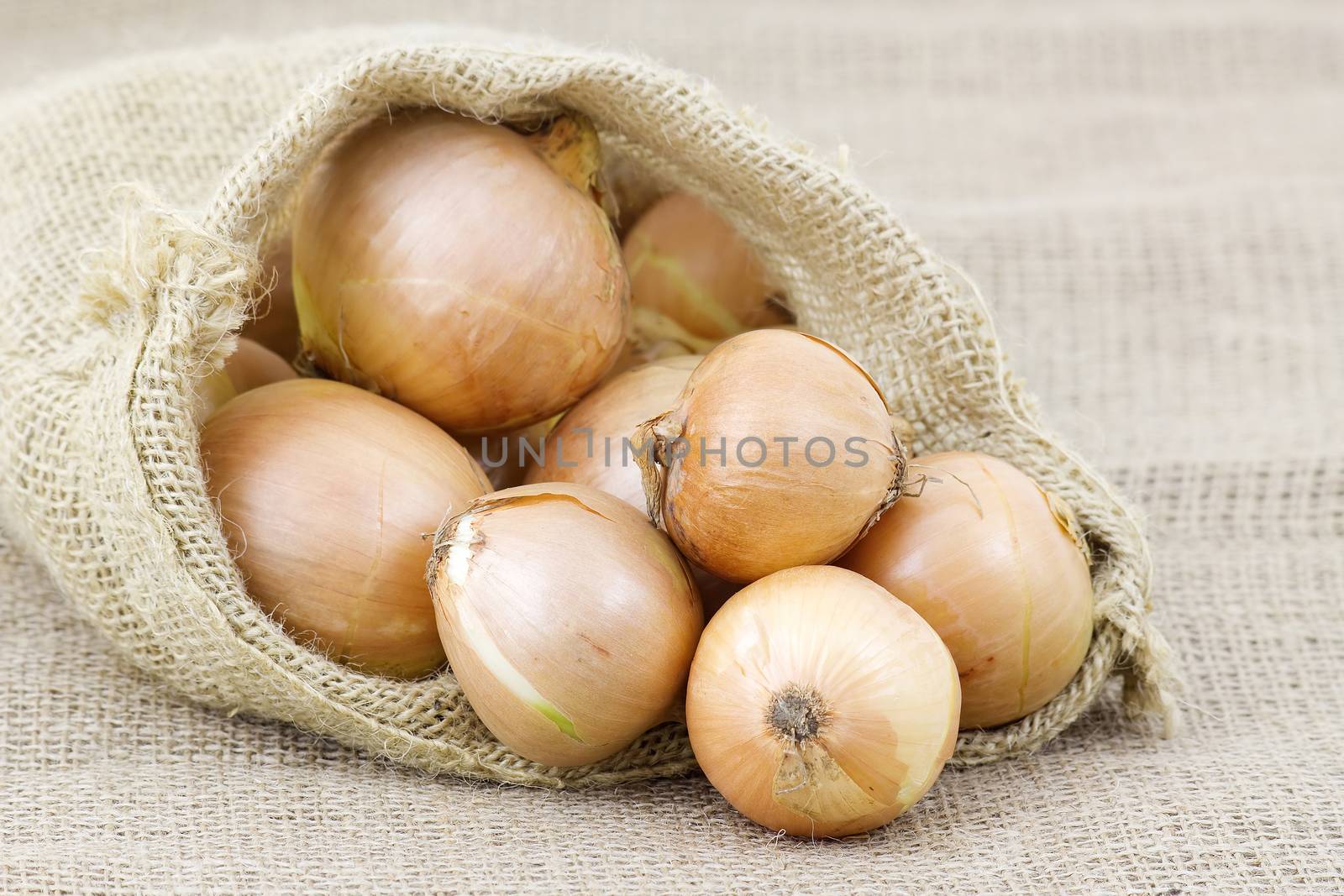 Fresh onions in package