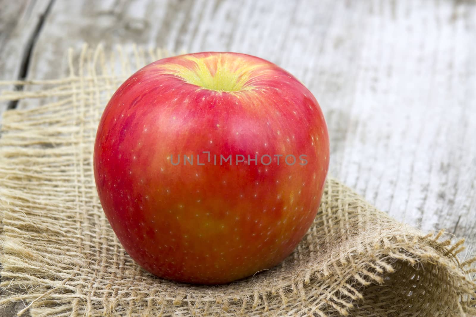 red apple by miradrozdowski