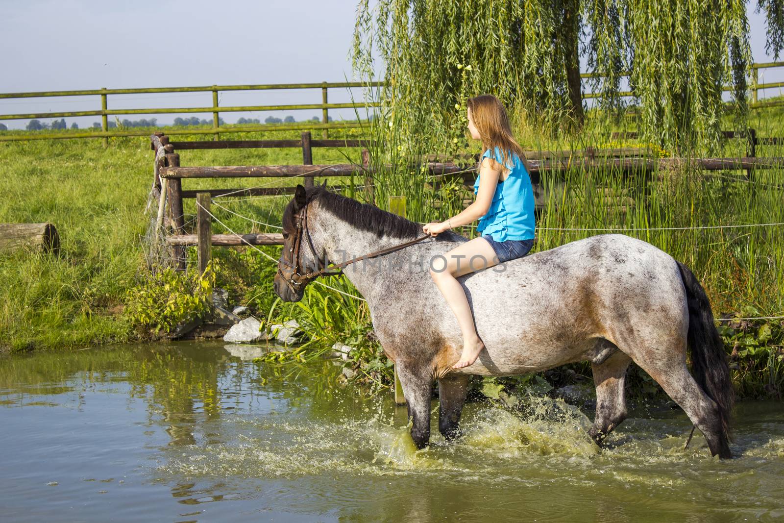 young girl riding a horse outdoors