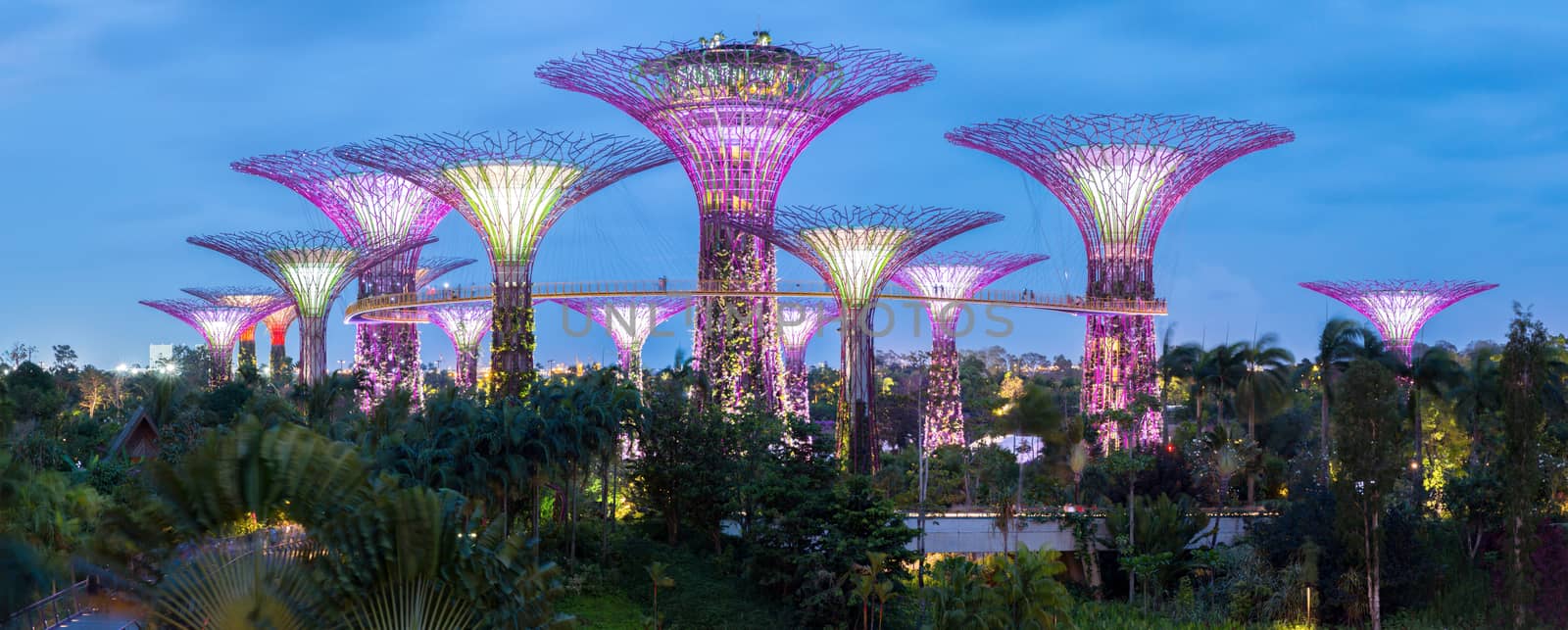 Gardens by the Bay Panorama by vichie81