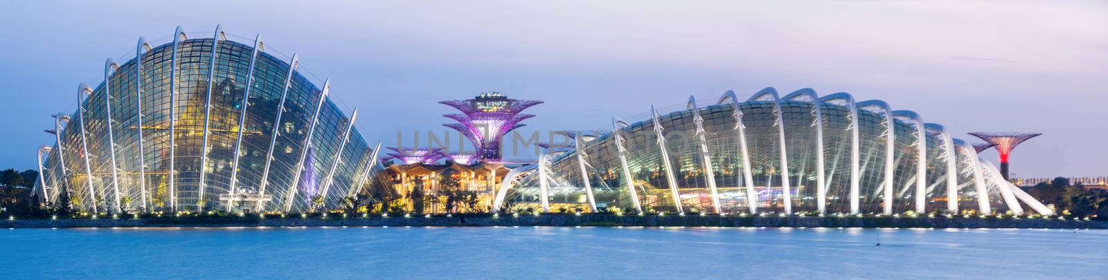 Panorama Singapore Garden by the bay by vichie81