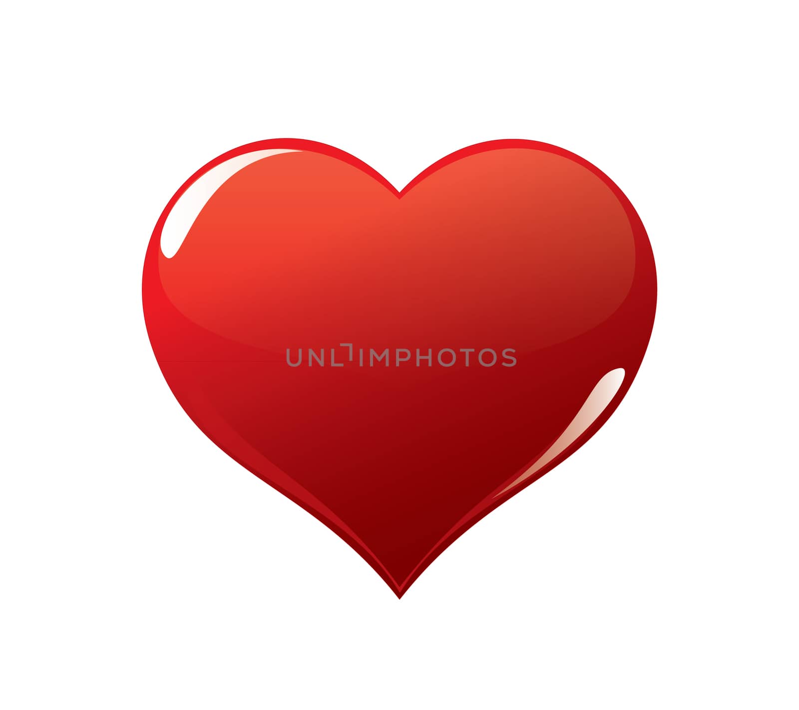 beautiful red heart isolated on a white background