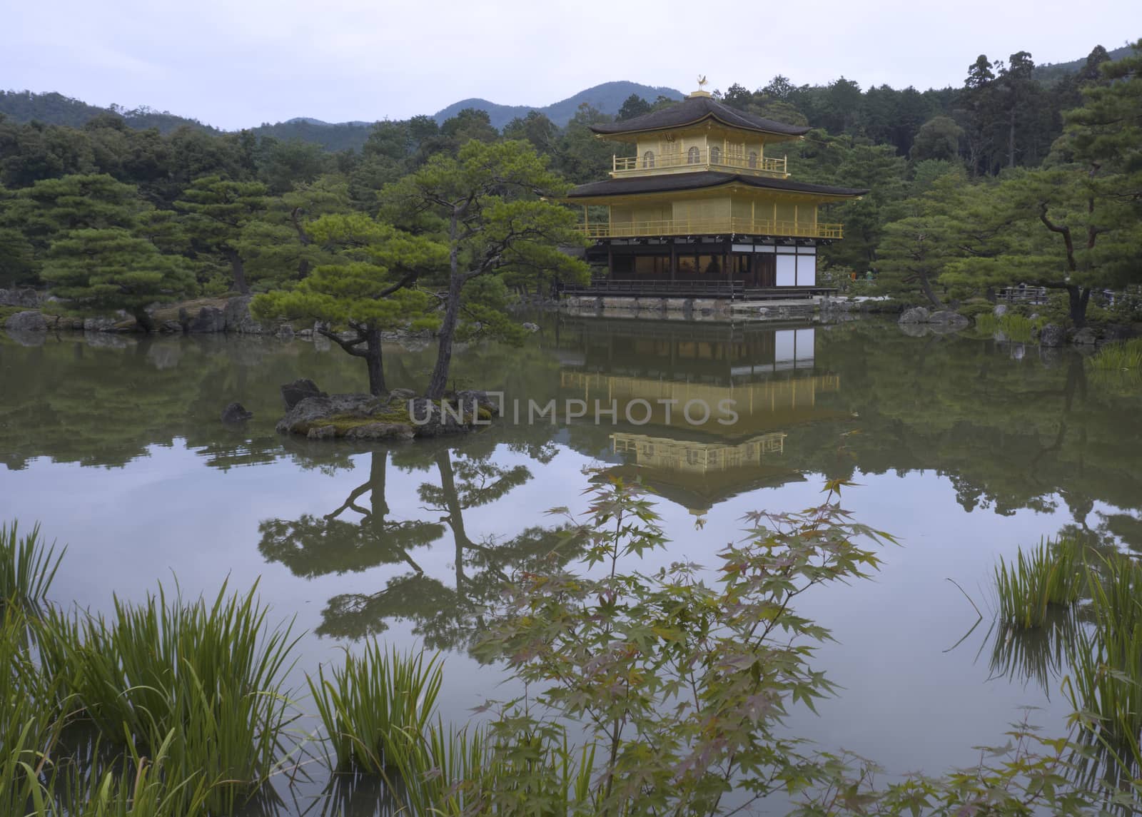 The Kinkaku-ji Temple (Golden Pavilion Temple) in Kyoto, Japan, is a World Cultural Heritage featuring a shining golden pavilion and a pond-centered garden. It is a temple of the Zen sect of Buddhism.