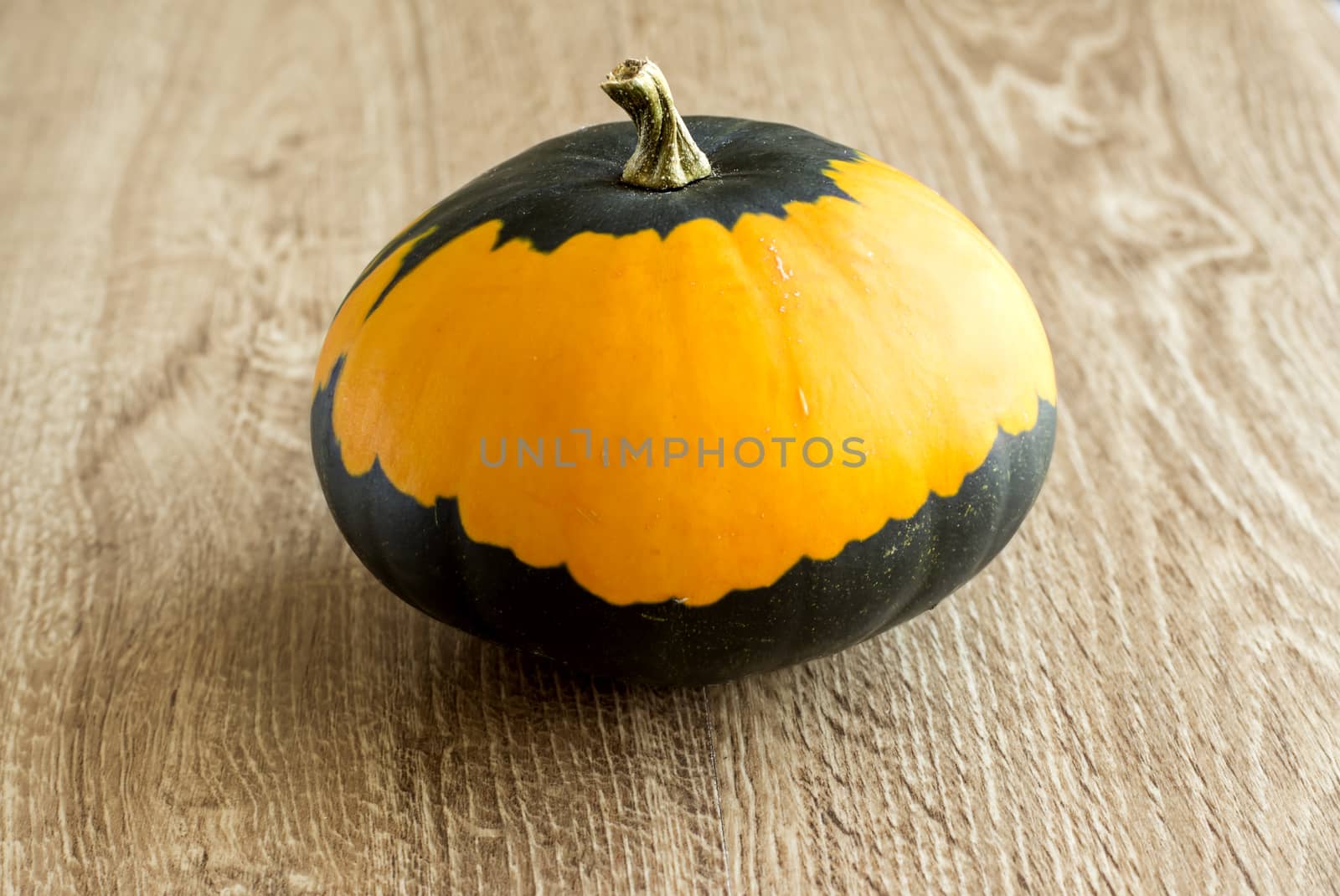 decorative pumpkin yellowish-green on the table