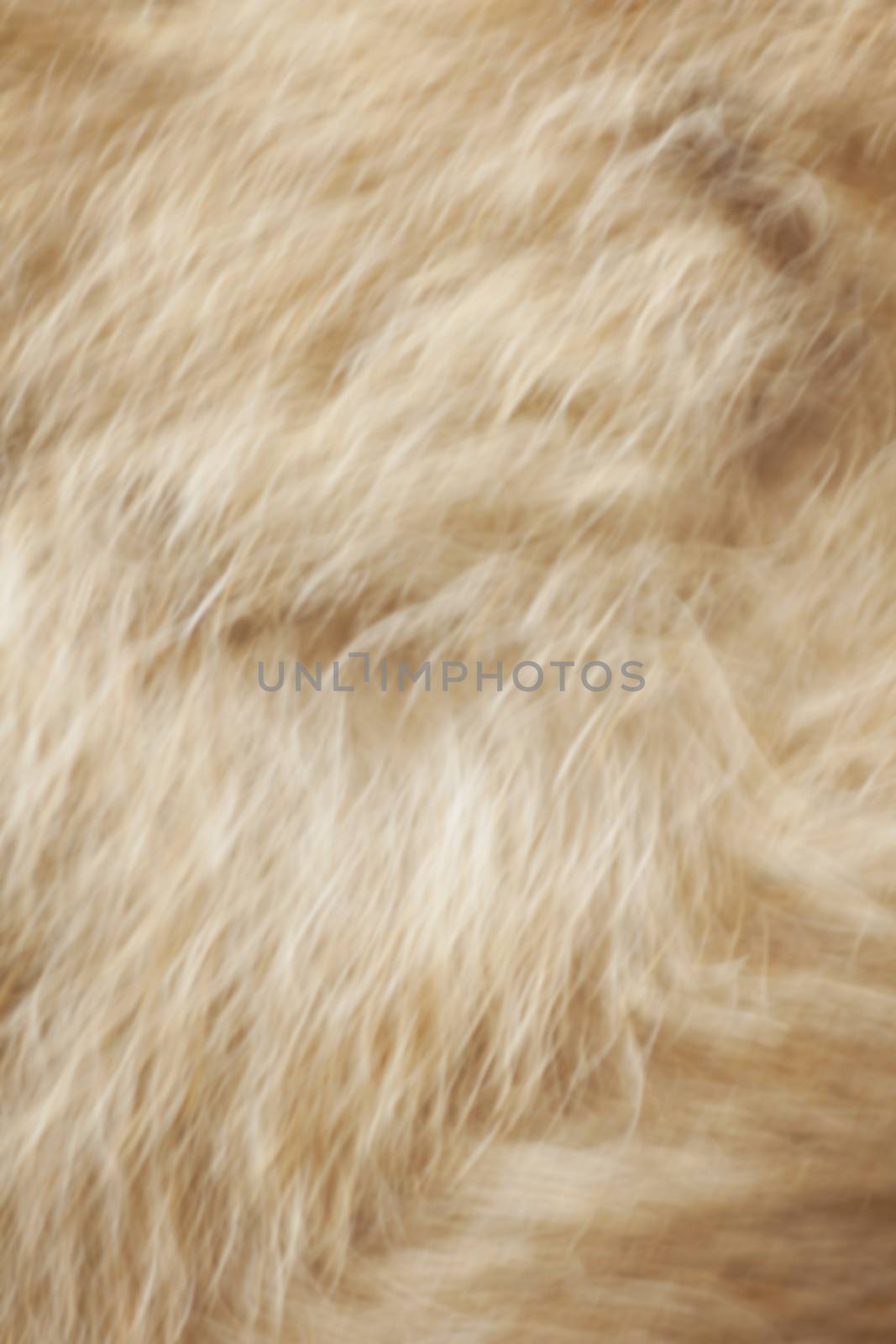 Soft blurred fur background