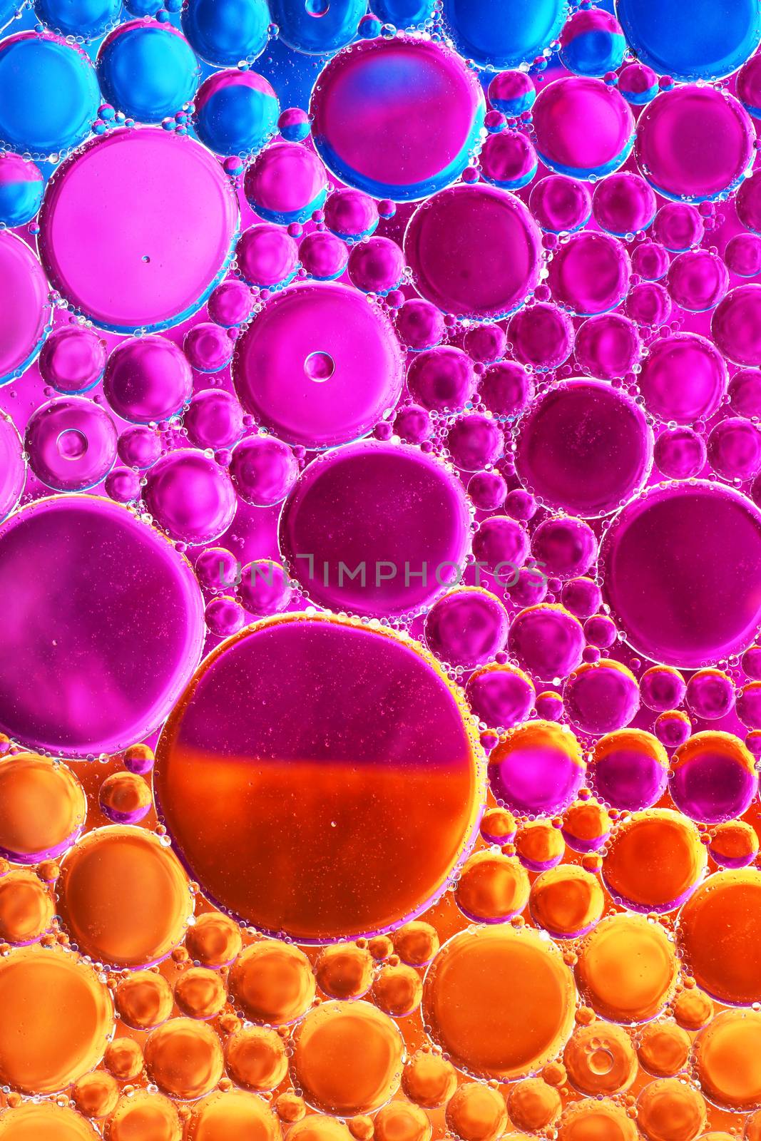 Oil drop and water over red, orange, pink and blue background-fun abstract
