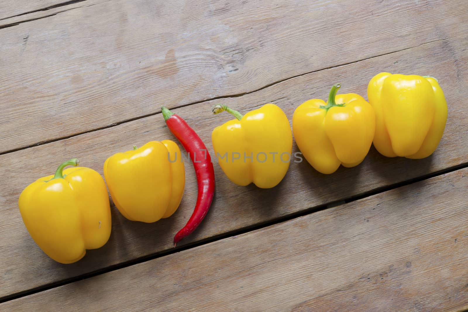 row of sweet yellow paprika and one red hot chili pepper between them on vintage wooden table