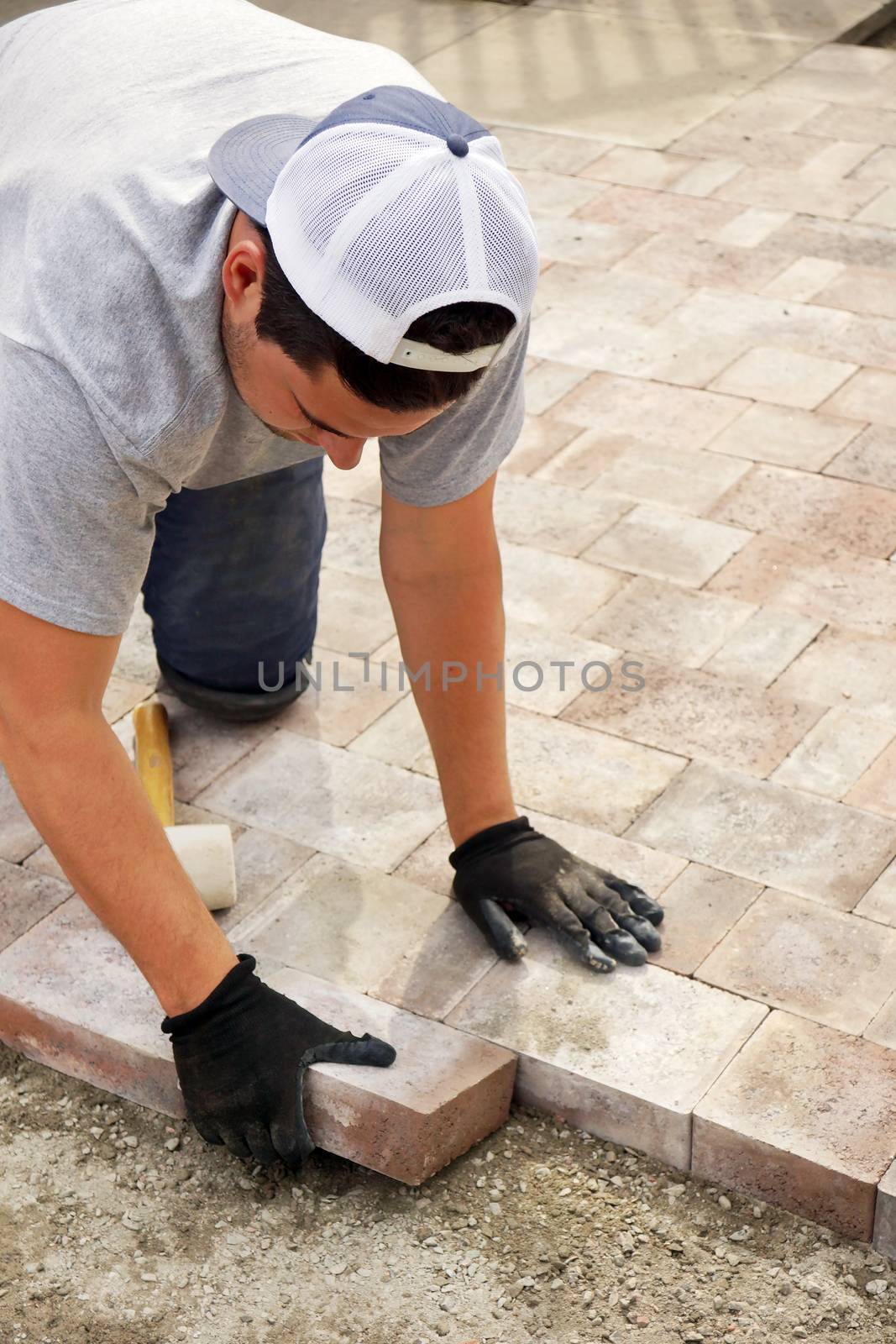 Landscaping concept: man, worker or trade putting down paver stones, vertical