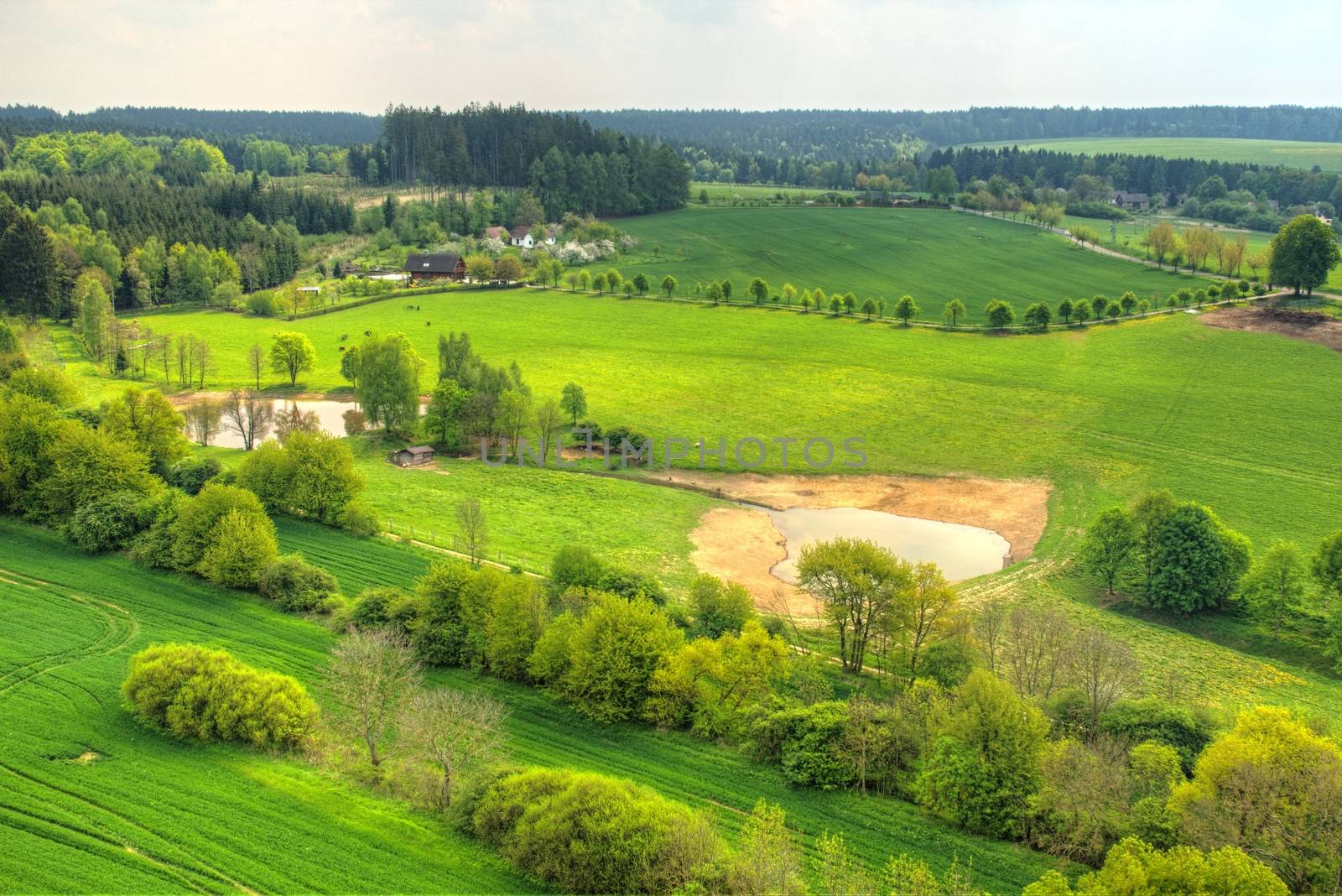 Photo shows green landscape with trees and roads.