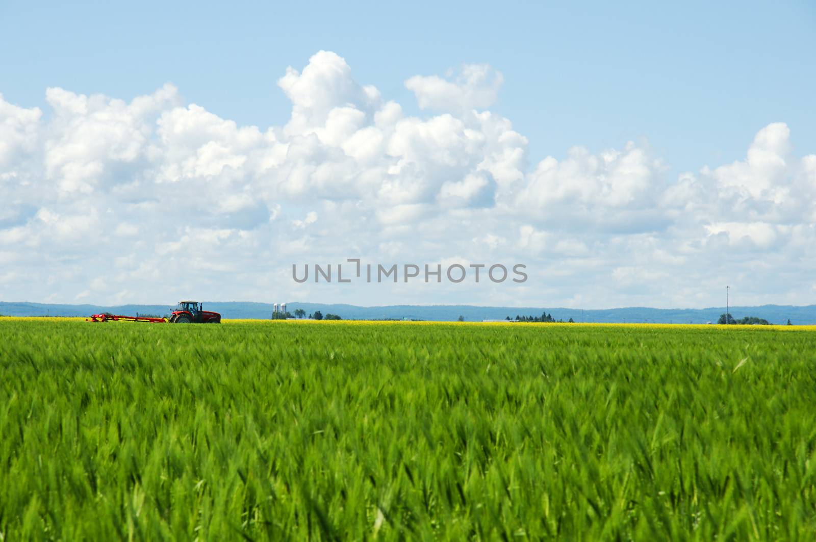 Rural landscape, focus on red tractor, green wheat field front and yellow canola field with sky