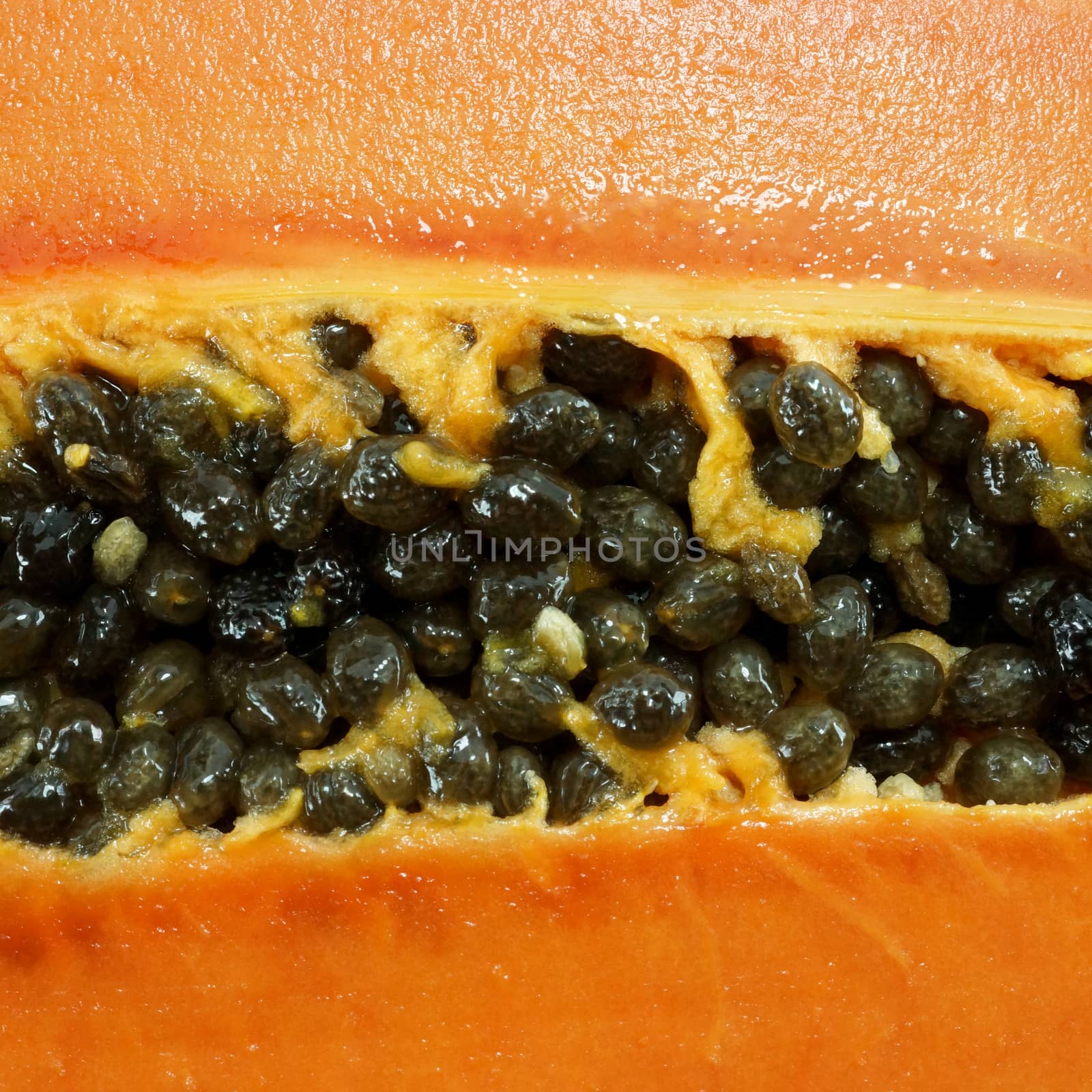 Fresh and ripe papaya isolated on white background by Noppharat_th