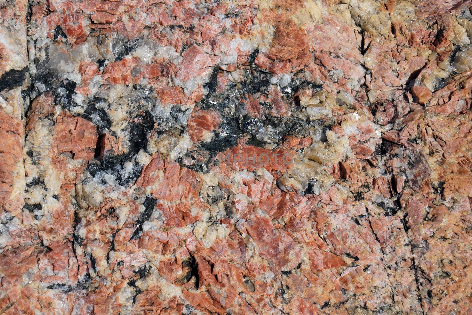 Geology background: red or pink granite with white quartz and black mica inclusions