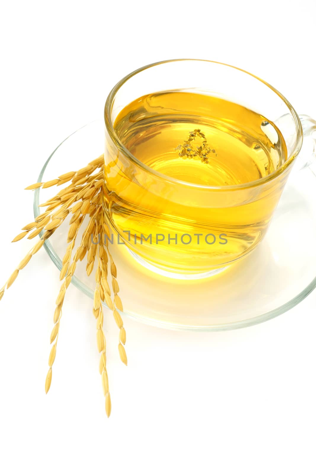 White Tea with Gamma-Cryzanol Extract on white background