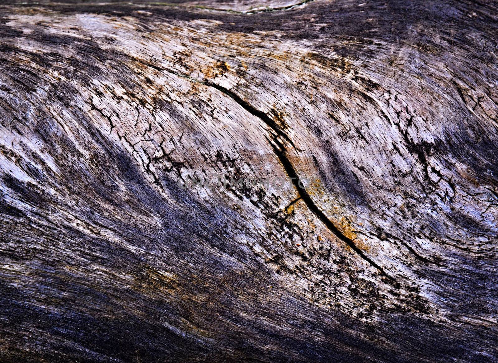 background or texture abstract old rotten wood