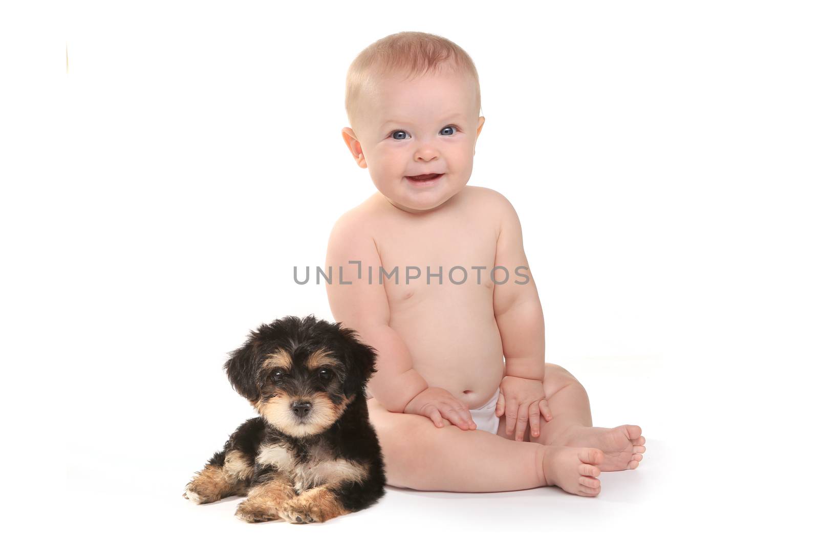 Cute Baby Boy With His Pet Teacup Yorkie Puppy