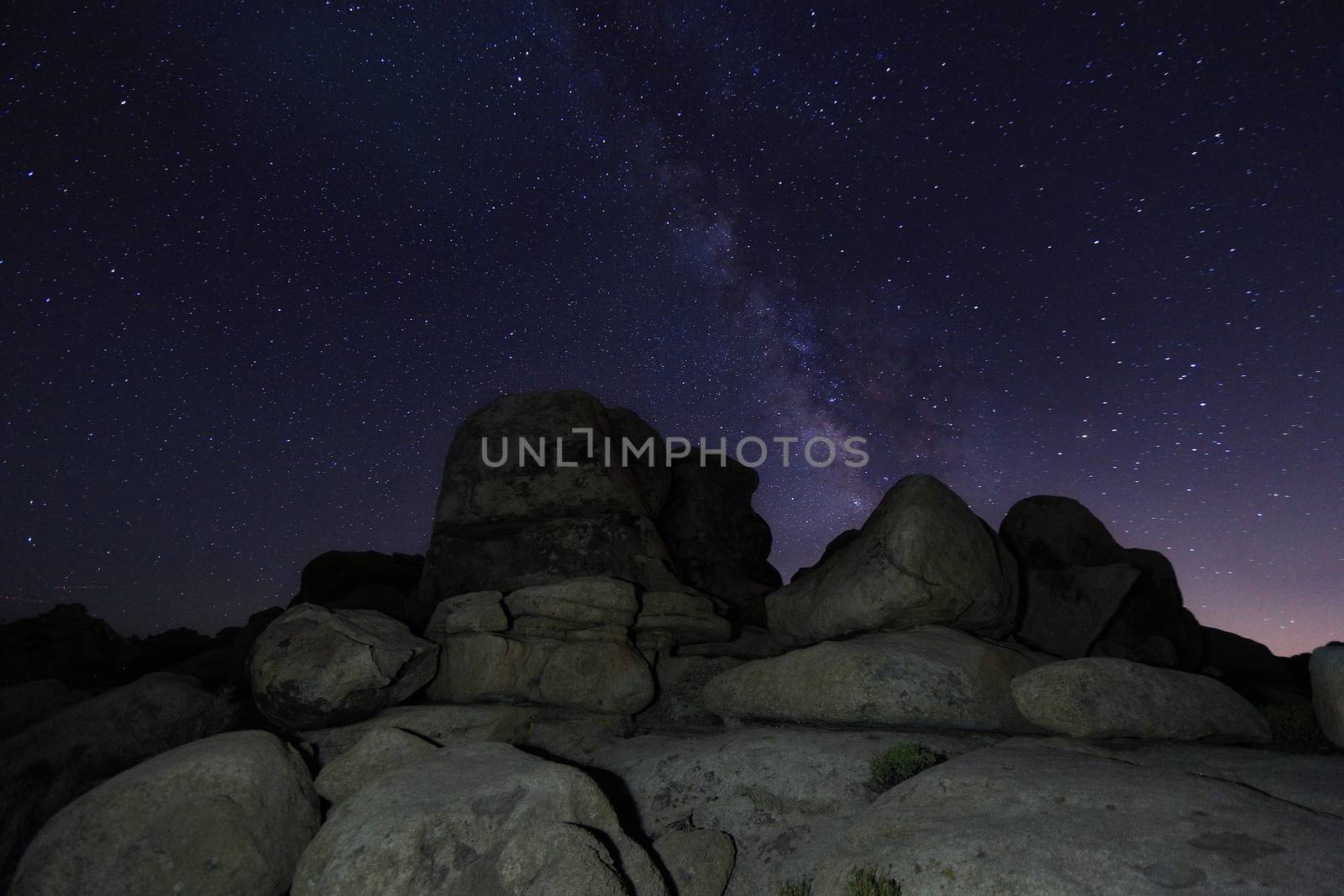 Star Trails and Milky Way in Joshua Tree National Park