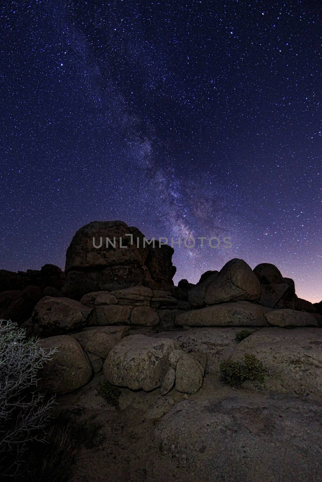 Star Trails and Milky Way in Joshua Tree National Park