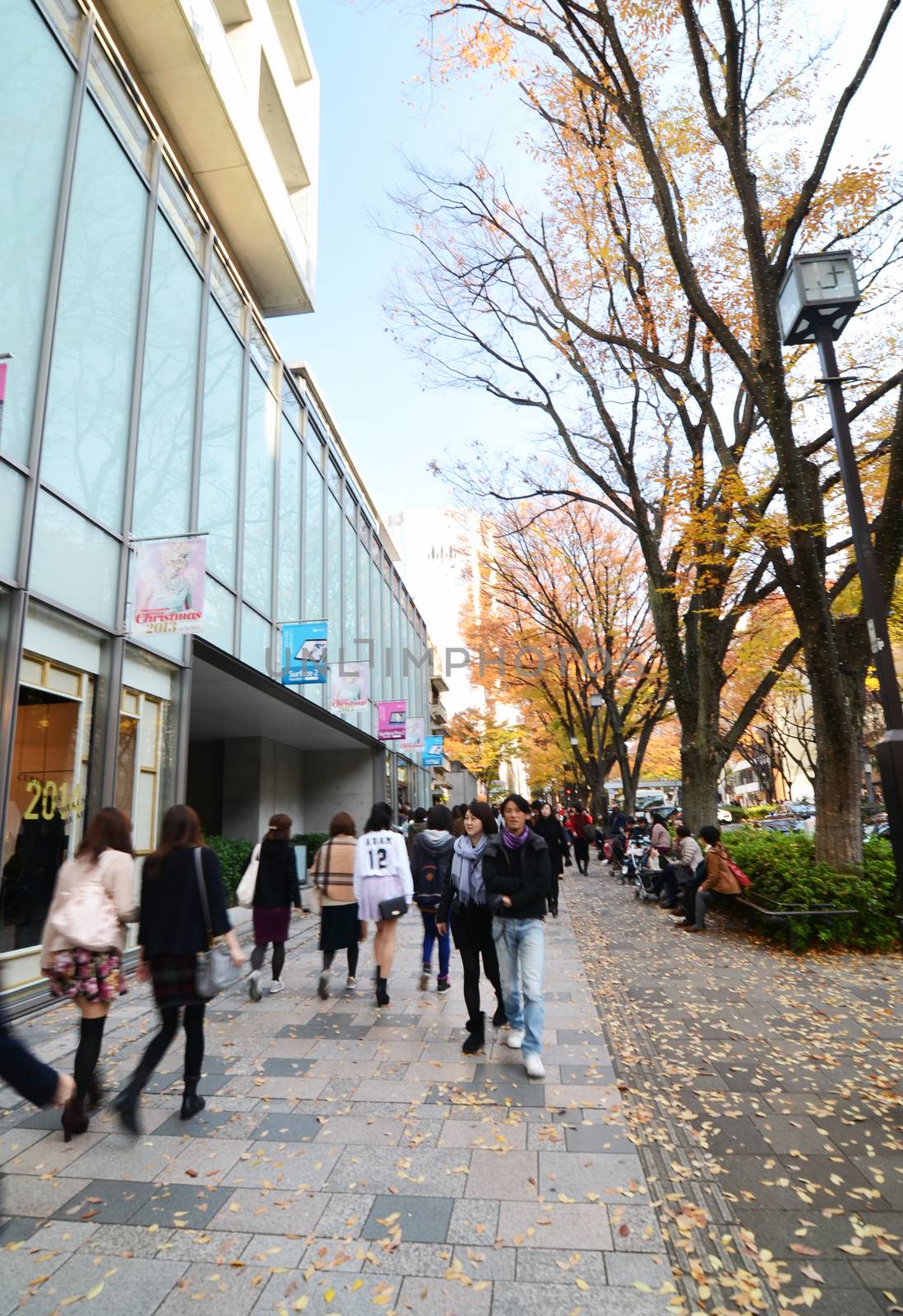 Tokyo, Japan - November 24, 2013: People shopping at Omotesando Street on November 23,2013, Omotesando street sometimes referred to as Tokyo's Champs-Elysees. Here you can find famous brand name shops, cafes and restaurants for a more adult clientele. 