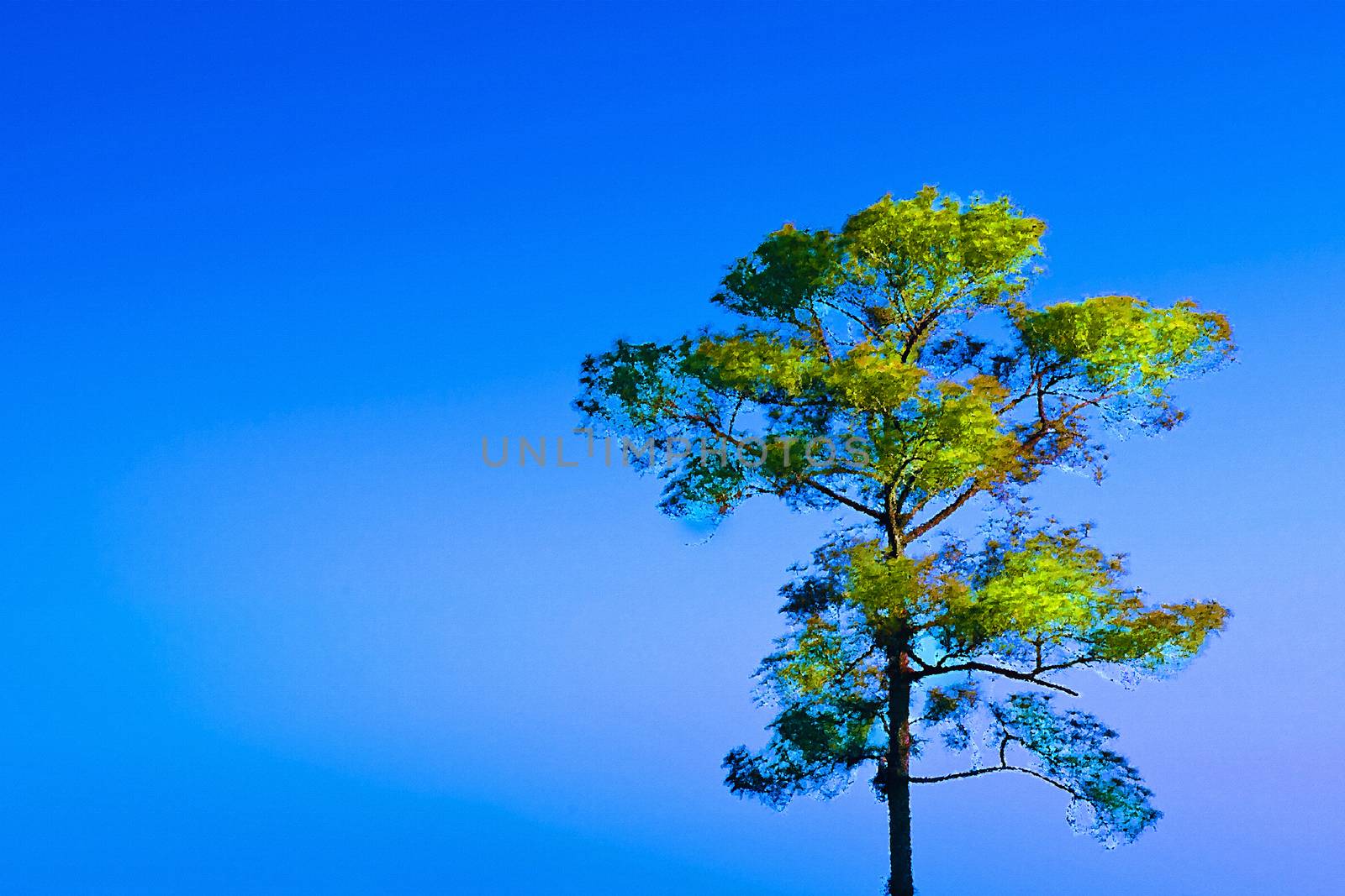 The Lonely Tree with Blue Sky - Oil Painting from Photo.