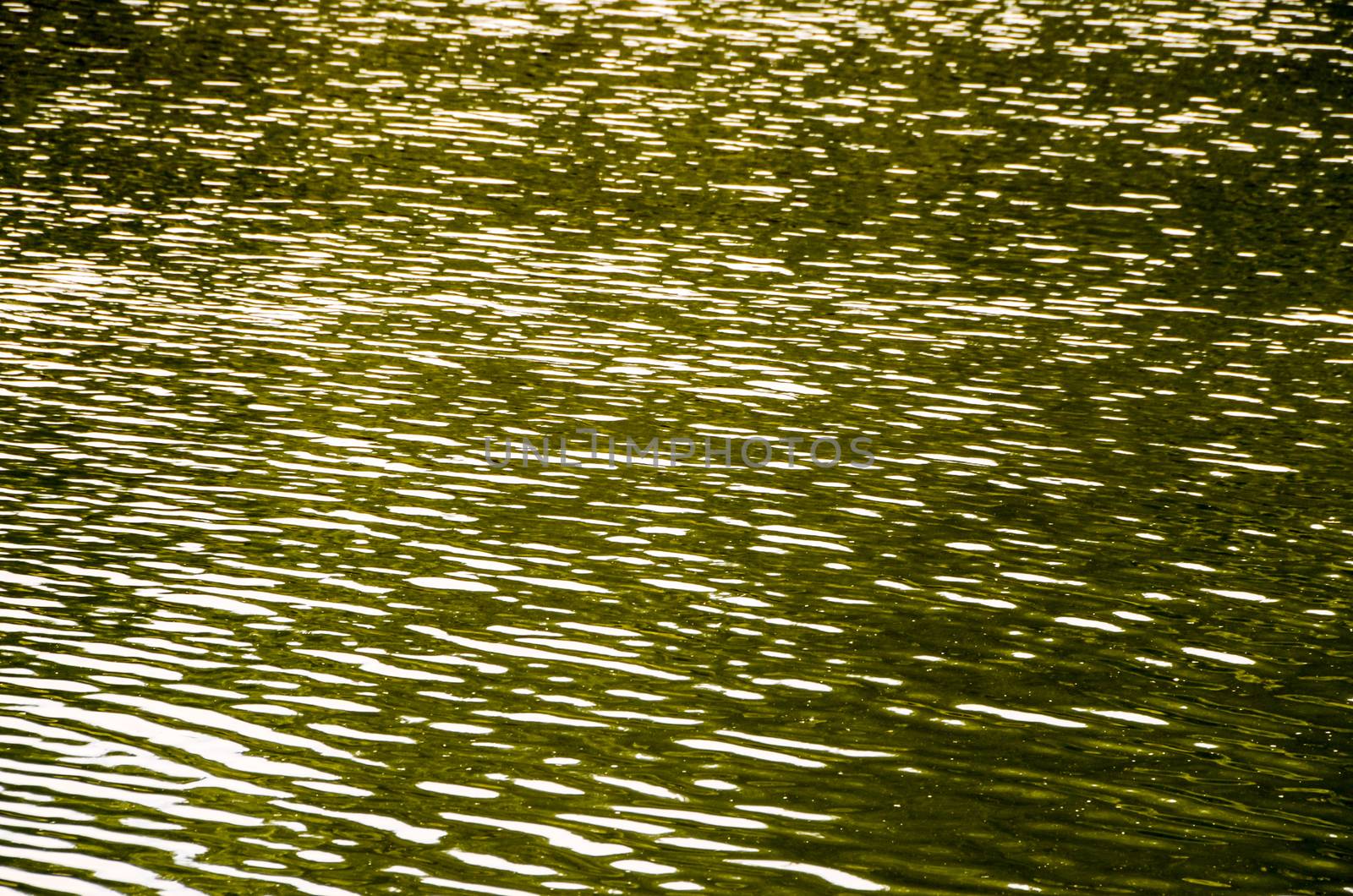 Green Water Texture by underworld
