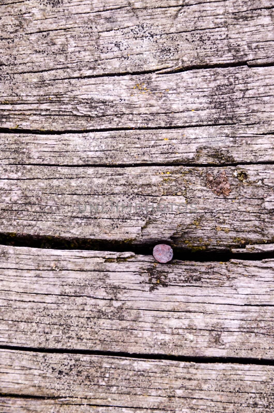 Grunge Floor Boards by underworld