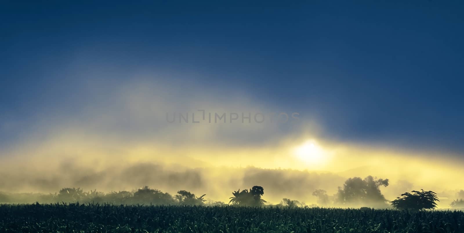 Sunrise Landscape Scene on Field by kobfujar