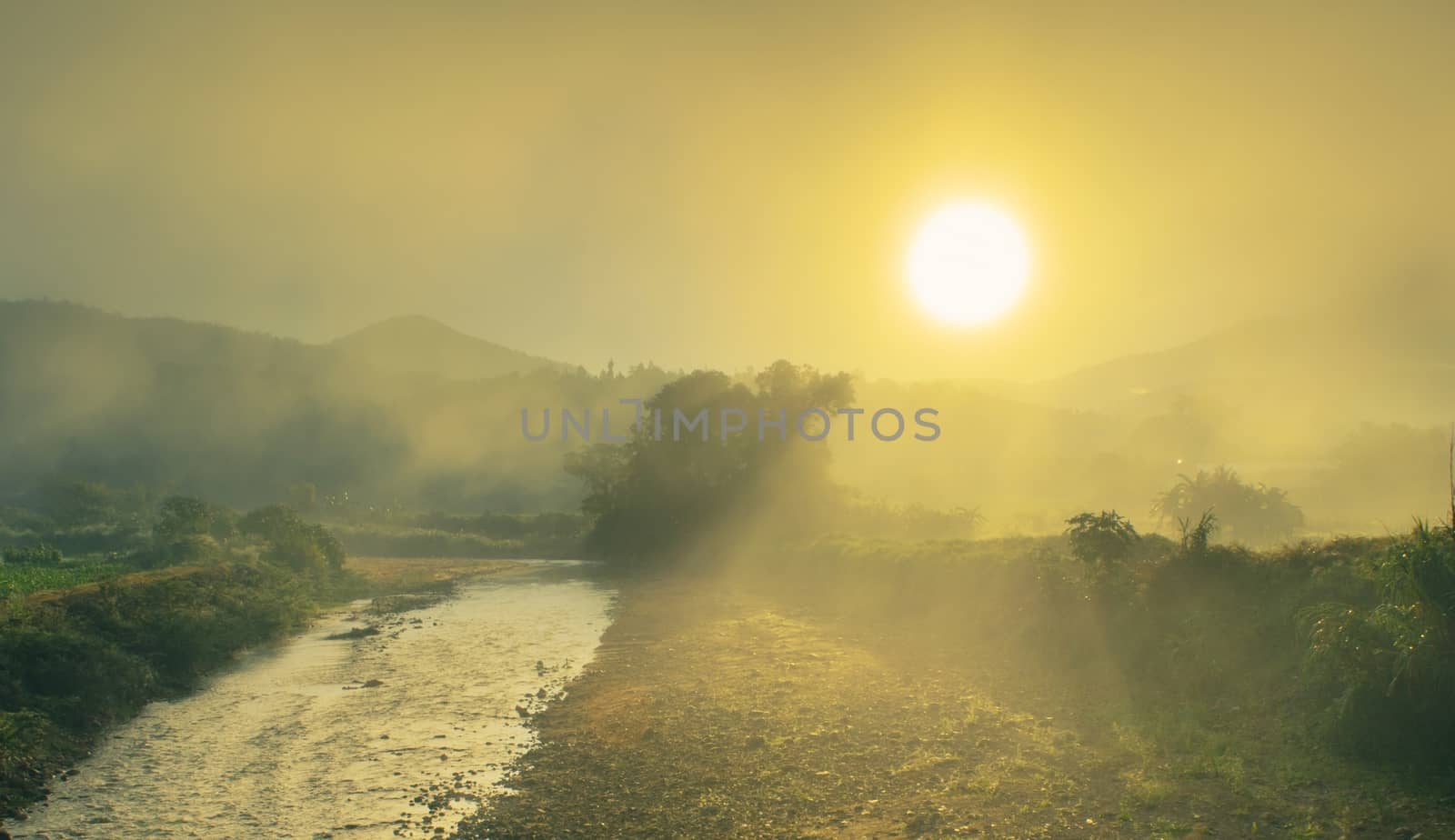 The landscape scene of field with sunrise in the morning.