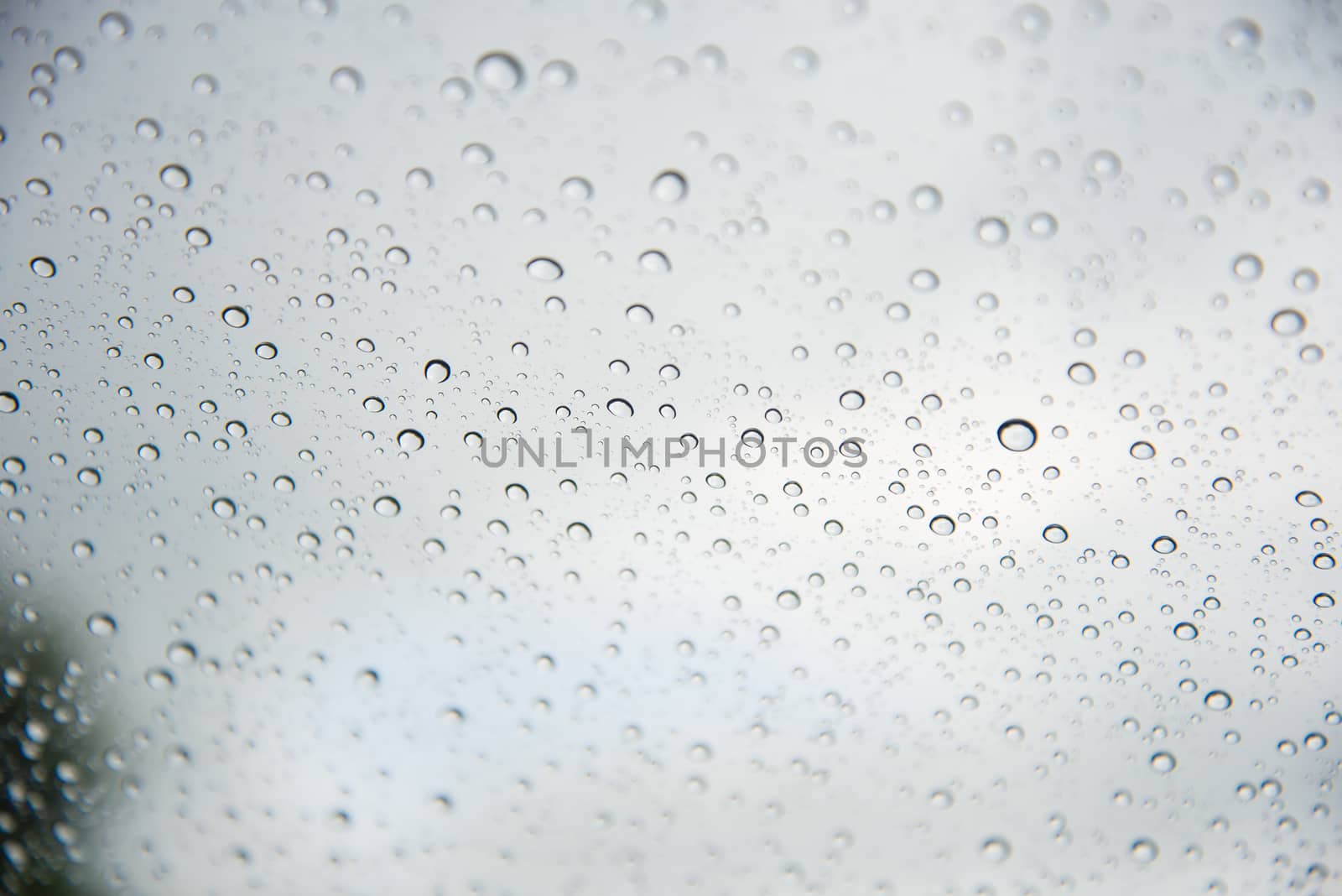 The water drops on glass for background.