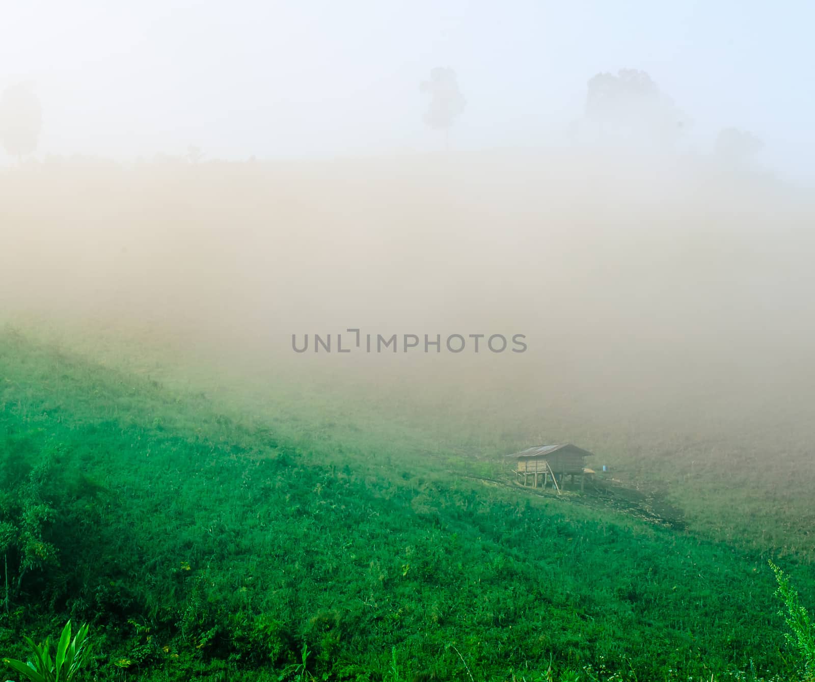 Cottage in the Mist on Hill by kobfujar