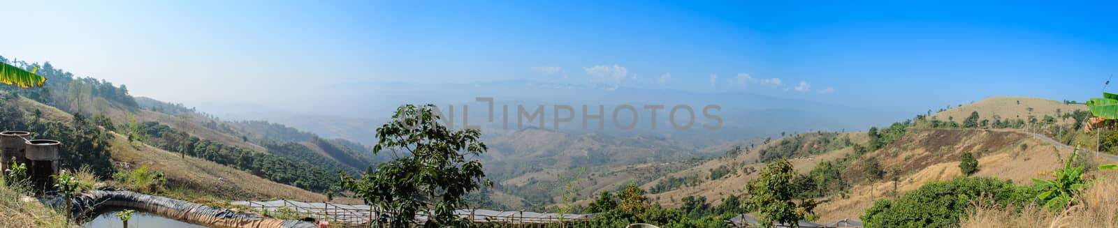 The Landscape View from a High Point.