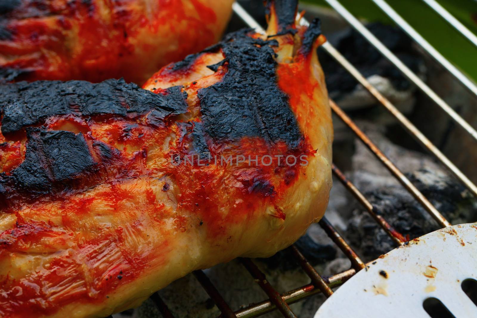 A Chicken roasted over grill, close up