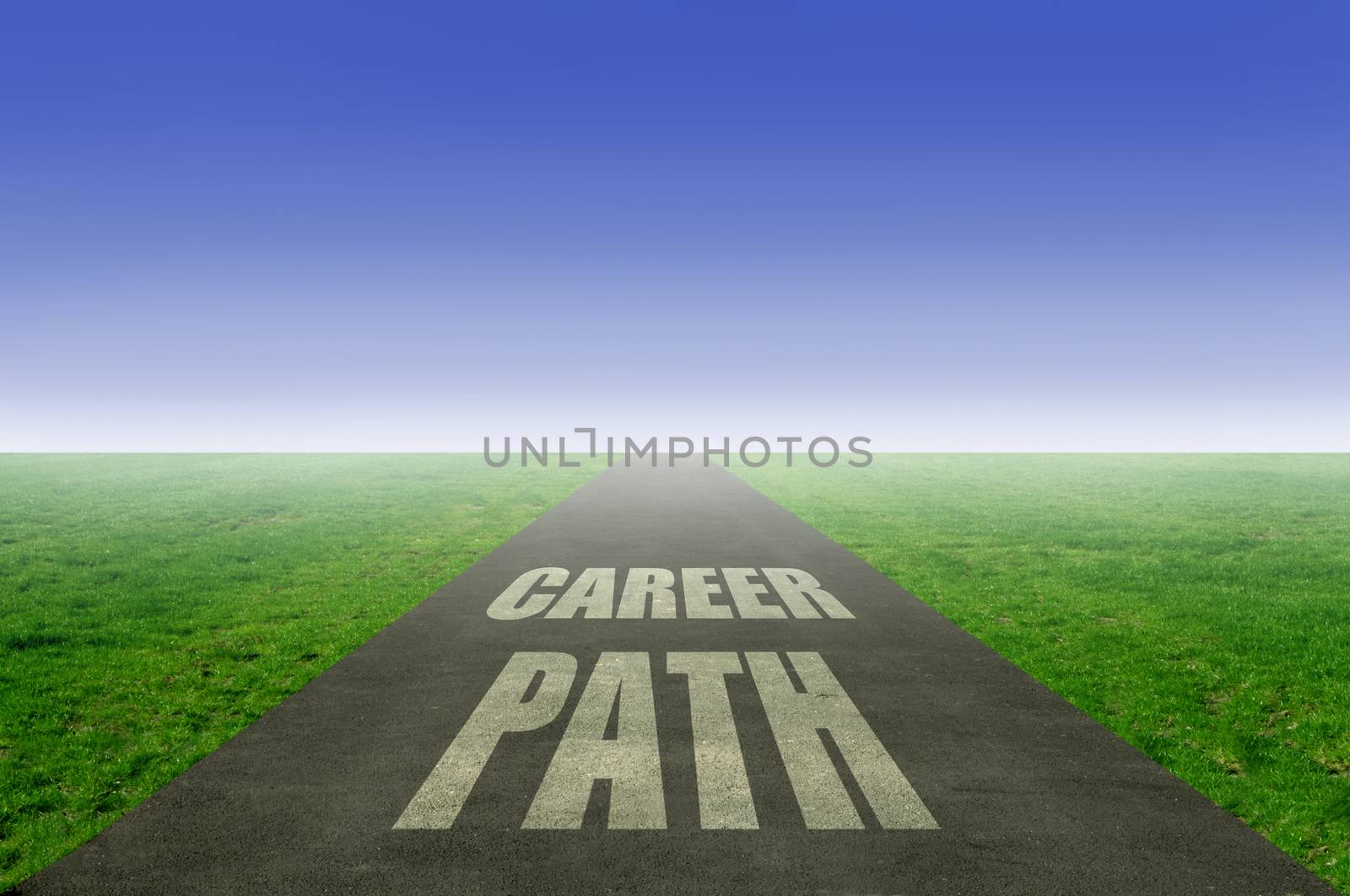 Career path concept, open road leading towards the horizon
