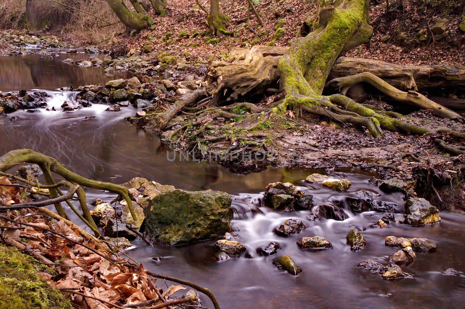 Stream flowing in the forest by anderm