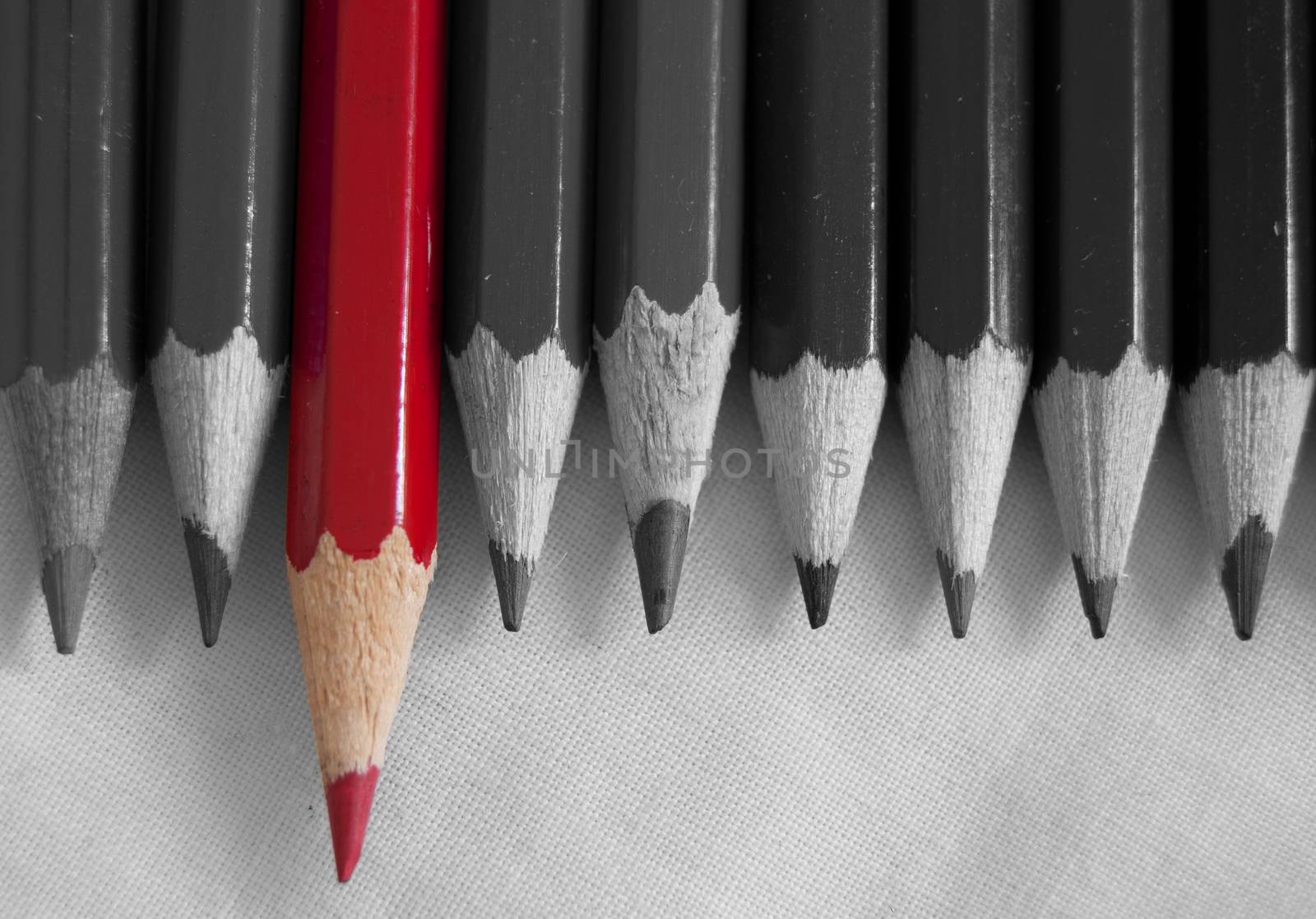 Red pencil amongst a row of pencils in black and white